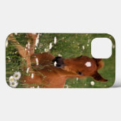 USA, Oregon, Arabian Pony. Case-Mate iPhone Hülle (Rückseite (Horizontal))