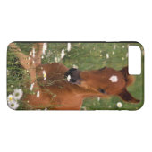 USA, Oregon, Arabian Pony. Case-Mate iPhone Hülle (Rückseite (Horizontal))