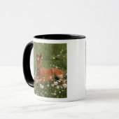 USA, Oregon, Arabian Pony. Tasse (Vorderseite Links)
