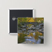 USA, Oregon, Ashland, Lithia Park.Herbst Button (Vorne & Hinten)