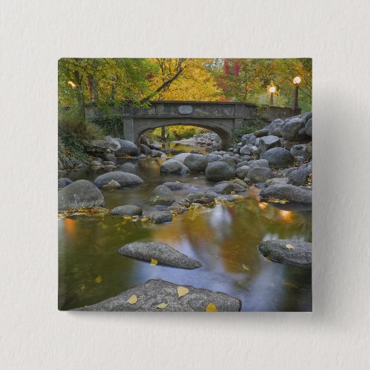 USA, Oregon, Ashland, Lithia Park.Herbst Button (Vorderseite)
