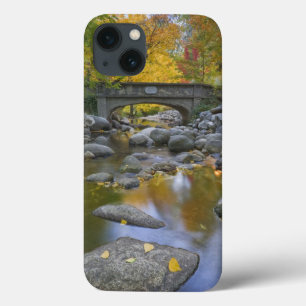 USA, Oregon, Ashland, Lithia Park. Herbst Case-Mate iPhone Hülle