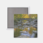 USA, Oregon, Ashland, Lithia Park. Herbst Magnet (Vorderseite/Rückseite)