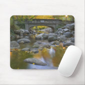USA, Oregon, Ashland, Lithia Park.Herbst Mousepad (Mit Mouse)