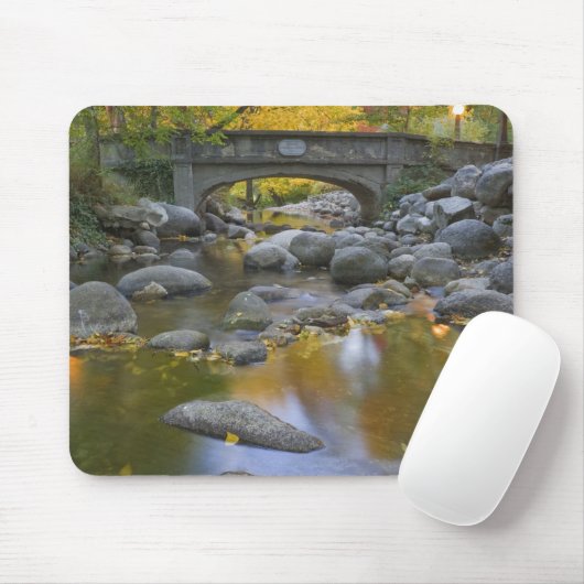 USA, Oregon, Ashland, Lithia Park.Herbst Mousepad (Mit Mouse)