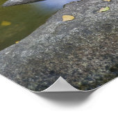 USA, Oregon, Ashland, Lithia Park. Herbst Poster (Ecke)