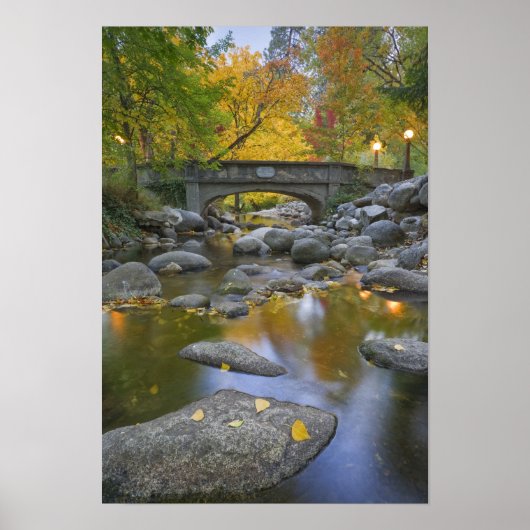 USA, Oregon, Ashland, Lithia Park. Herbst Poster (Vorne)