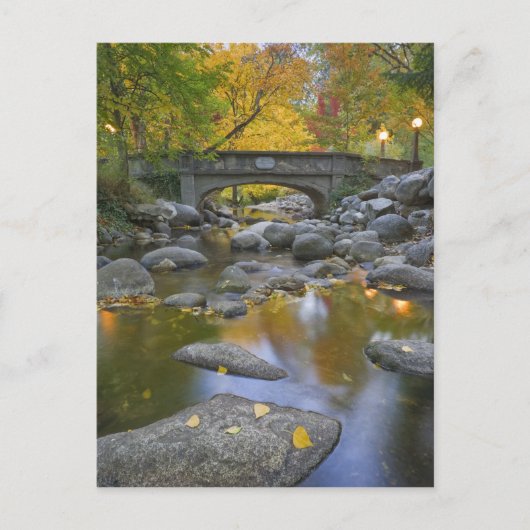 USA, Oregon, Ashland, Lithia Park. Herbst Postkarte (Vorderseite)