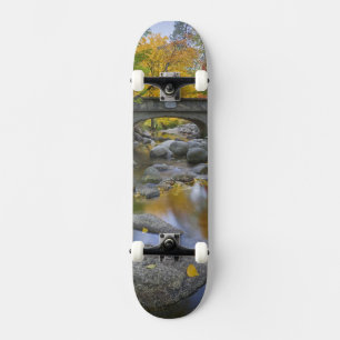 USA, Oregon, Ashland, Lithia Park. Herbst Skateboard