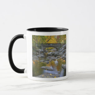 USA, Oregon, Ashland, Lithia Park.Herbst Tasse