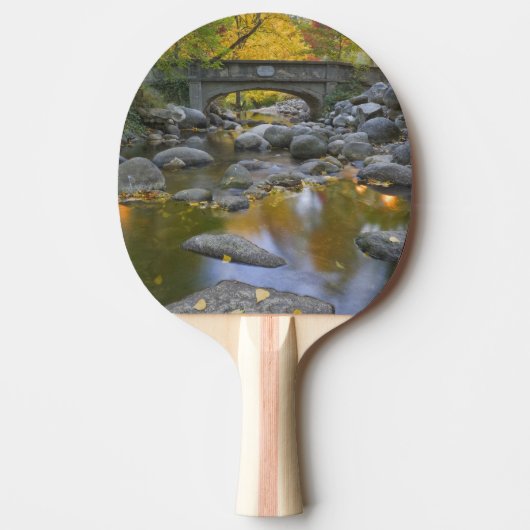 USA, Oregon, Ashland, Lithia Park.Herbst Tischtennis Schläger (Vorderseite)