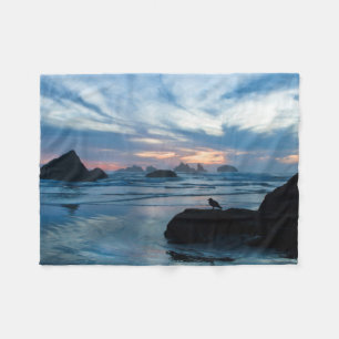 USA, Oregon, Bandon Beach. Möwe auf Felsen Fleecedecke