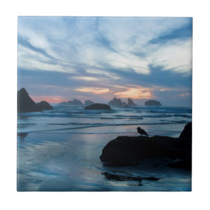USA, Oregon, Bandon Beach. Möwe auf Felsen Fliese