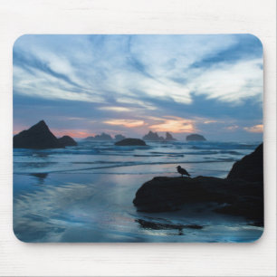 USA, Oregon, Bandon Beach. Möwe auf Felsen Mousepad
