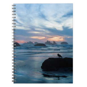 USA, Oregon, Bandon Beach. Möwe auf Felsen Notizblock