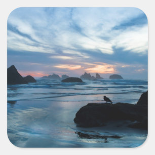 USA, Oregon, Bandon Beach. Möwe auf Felsen Quadratischer Aufkleber