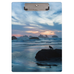 USA, Oregon, Bandon Beach. Seagull auf Felsen Klemmbrett
