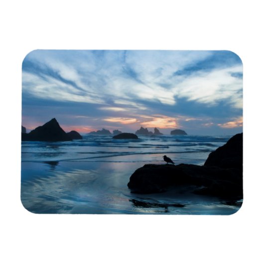 USA, Oregon, Bandon Beach. Seagull auf Felsen Magnet (Horizontal)