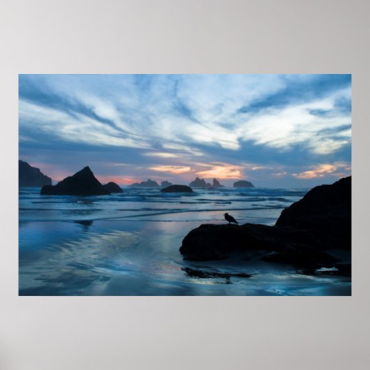 USA, Oregon, Bandon Beach. Seagull auf Felsen Poster (Vorne)