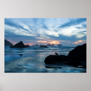 USA, Oregon, Bandon Beach. Seagull on rock Poster