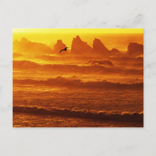 USA, Oregon, Bandon. Sonnenuntergang über Wellen u Postkarte