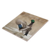 USA, Oregon, Baskett Slough National Wildlife Fliese (Seite)