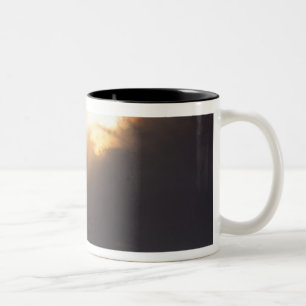 USA, Oregon, bei Oswald West State Park, Spät Zweifarbige Tasse