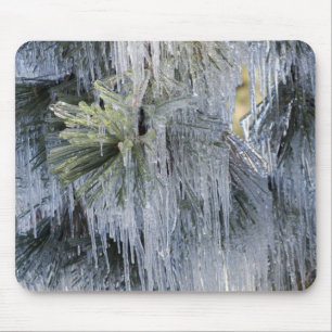 USA, Oregon, Bend. Das Eis auf Ponderosa-Kiefer Mousepad