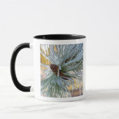 USA, Oregon, Bend. Ponderosa-Kiefernnadeln sind Tasse (Links)