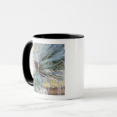 USA, Oregon, Bend. Ponderosa-Kiefernnadeln sind Tasse (Vorderseite Links)
