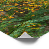 USA, Oregon, Champoeg Staat Park. Herbst Poster (Ecke)