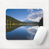 USA, Oregon, Clackamas County, Ansicht von Mousepad (Mit Mouse)