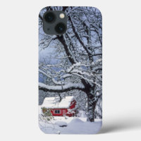 USA, Oregon, Clackamas County. Fresh Snow Covers