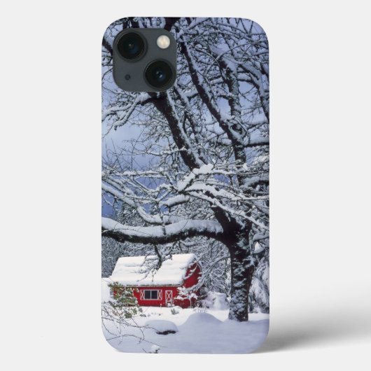 USA, Oregon, Clackamas County. Fresh Snow Covers (Rückseite)