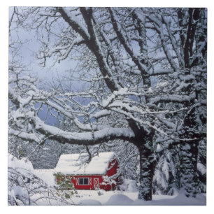 USA, Oregon, Clackamas County. Frischer Schnee bed Fliese