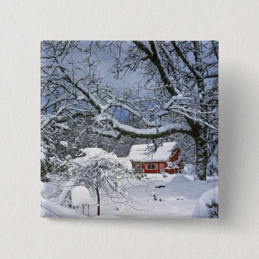 USA, Oregon, Clackamas County. Frischer Schnee Button (Vorderseite)