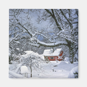 USA, Oregon, Clackamas County. Frischer Schnee Magnet