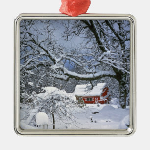 USA, Oregon, Clackamas County. Frischer Schnee Ornament Aus Metall