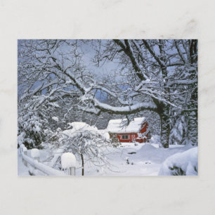 USA, Oregon, Clackamas County. Frischer Schnee Postkarte