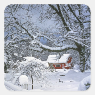 USA, Oregon, Clackamas County. Frischer Schnee Quadratischer Aufkleber