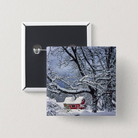 USA, Oregon, Clackamas Landkreis. Frischschneebede Button (Vorne & Hinten)