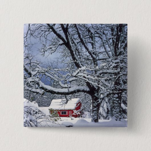 USA, Oregon, Clackamas Landkreis. Frischschneebede Button (Vorderseite)