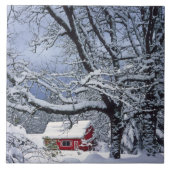 USA, Oregon, Clackamas Landkreis. Frischschneebede Fliese (Vorderseite)