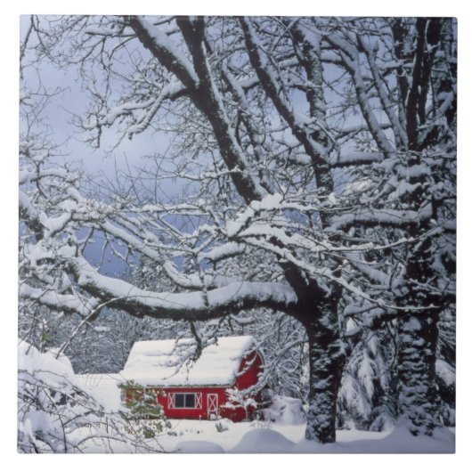 USA, Oregon, Clackamas Landkreis. Frischschneebede Fliese (Vorderseite)