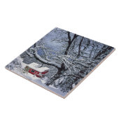 USA, Oregon, Clackamas Landkreis. Frischschneebede Fliese (Seite)