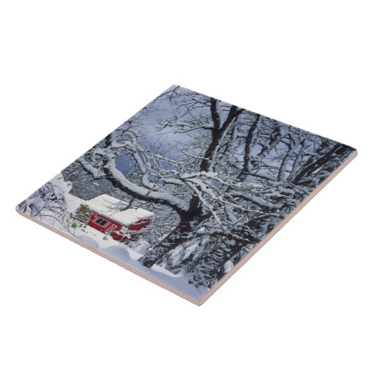 USA, Oregon, Clackamas Landkreis. Frischschneebede Fliese (Seite)