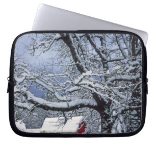 USA, Oregon, Clackamas Landkreis. Frischschneebede Laptopschutzhülle