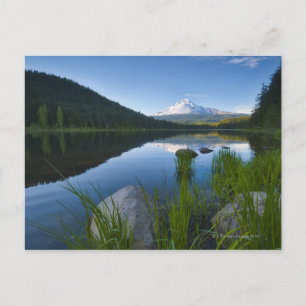 USA, Oregon, Clackamas Landkreis, View of Trillium Postkarte
