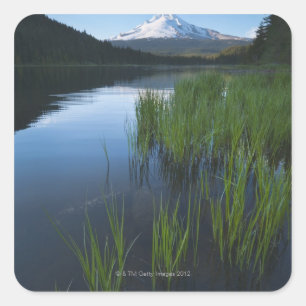 USA, Oregon, Clackamas Landkreis, View of Trillium Quadratischer Aufkleber