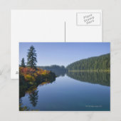 USA, Oregon, Clear Lake Postkarte (Vorne/Hinten)